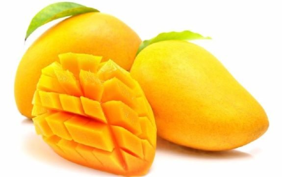 Frozen Alphonso Mango Pulp and Slices Manufacturer in Pune