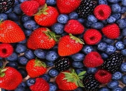 Frozen Berries Manufacturer Pune